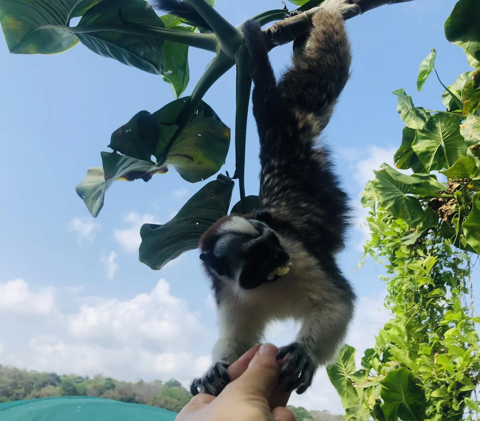 Photo from “A Long Weekend Girl’s Trip to Panama City, Panama – Advice & Tips Included!”